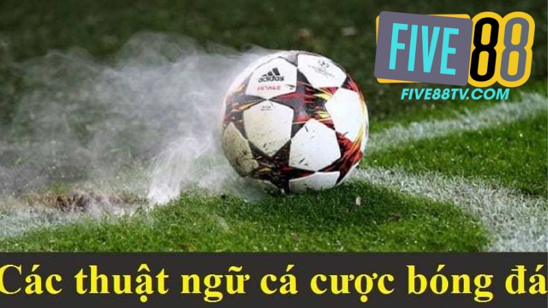 Sảnh K-Sports - Trải Nghiệm Cá Cược Thể Thao Tại Five88 3 Sảnh K-Sports